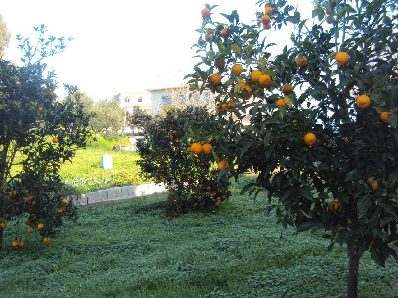 Villa Nostos Koróni Exterior foto